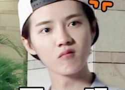 鹿晗的搞笑表情包,笑点满满，表情包界的“开心果”