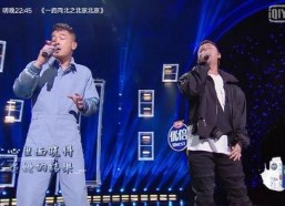 网络综艺自制背景音乐,自制背景音乐的崛起与魅力