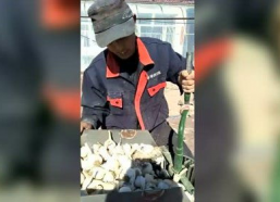 韦伟的个人资料,才华横溢的青年才俊，多领域成就斐然