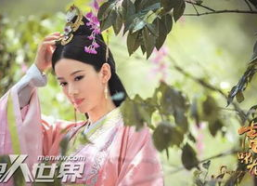 蒹葭曹爽背景音乐,古典旋律中的历史回响